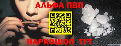 индика Кандалакша