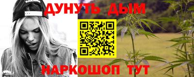 индика Кандалакша
