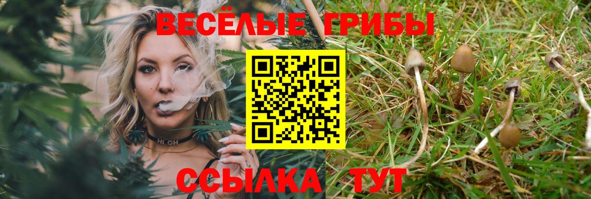 Кубинка  Галлюциногенные грибы Psilocybine cubensis  Вход с VPN 